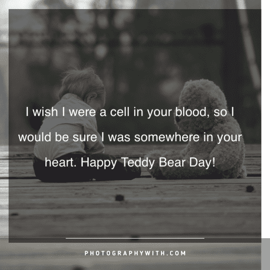Teddy Bear Love Quotes 3