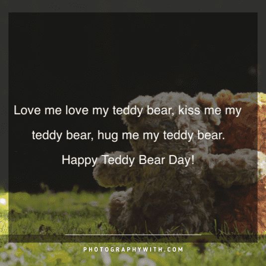 Teddy Bear Love Quotes 4