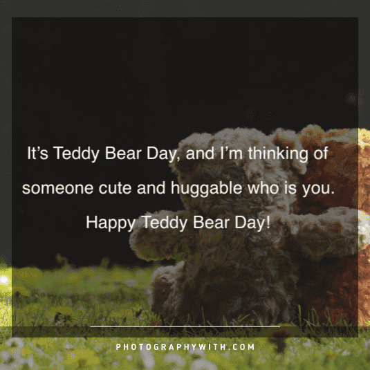 Teddy Bear Love Quotes 5