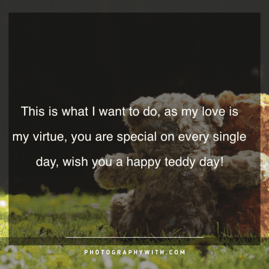 Teddy Bear Love Quotes 7