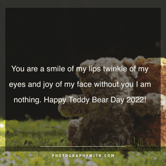 Teddy Bear Love Quotes 8