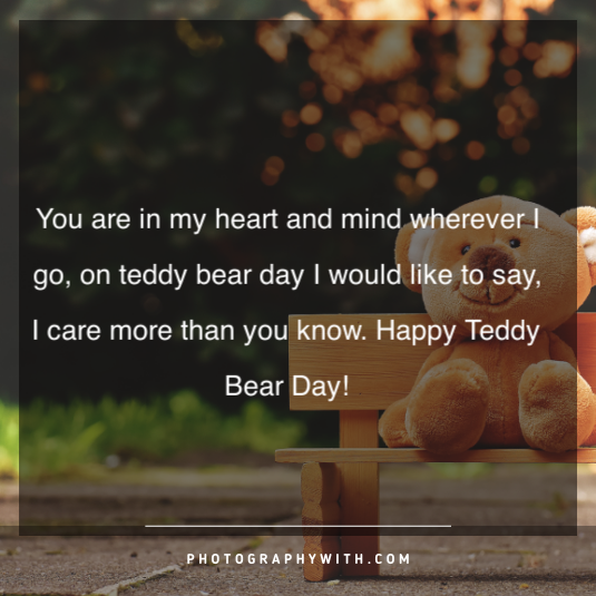 Teddy bear quotes for girls 1