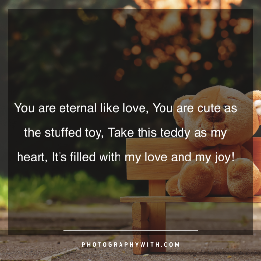 Teddy bear quotes for girls 12