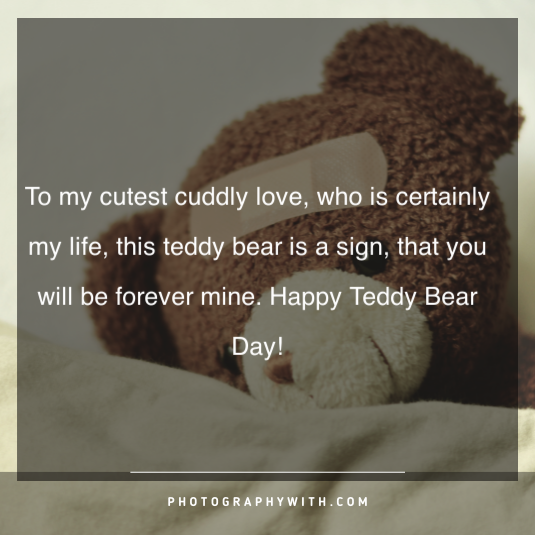 Teddy bear quotes for girls 13