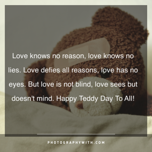 Teddy bear quotes for girls 3