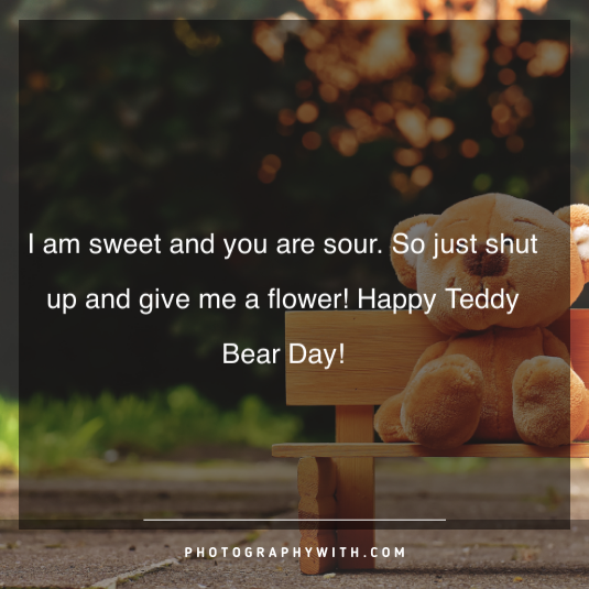 Teddy bear quotes for girls 4