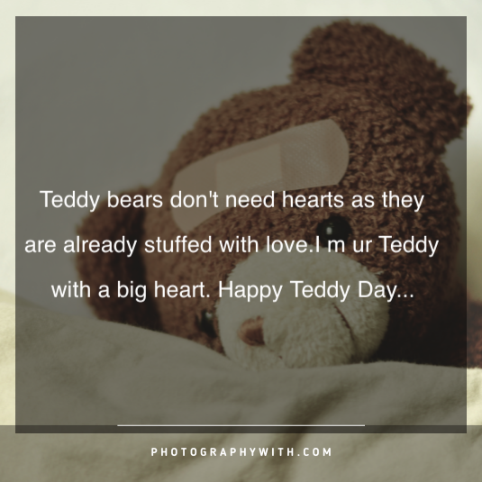 Teddy bear quotes for girls 6