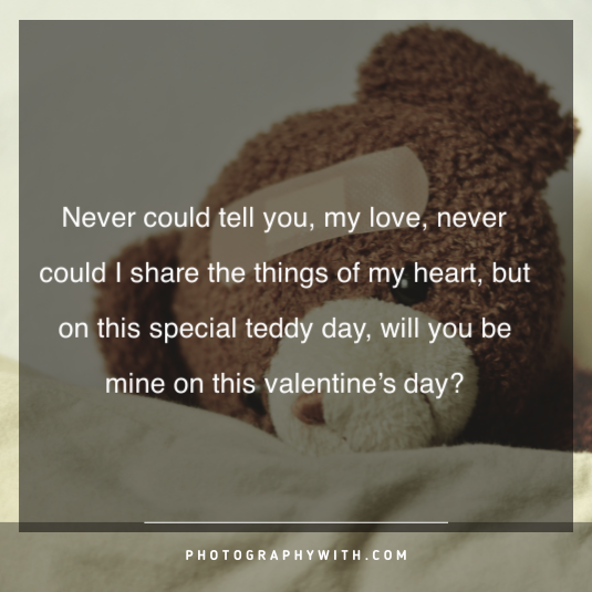 Teddy bear quotes for girls 7