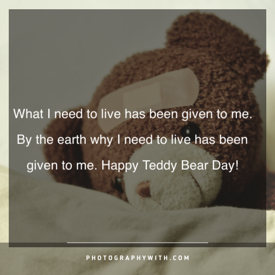 Teddy bear quotes for girls 9