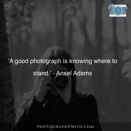 Photography Day Quotes 37