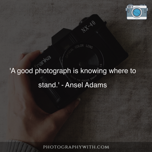 Photography Day Quotes 5