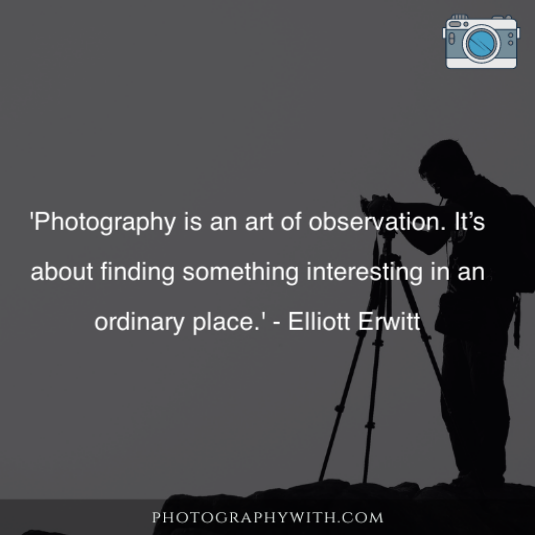Photography Day Quotes 8